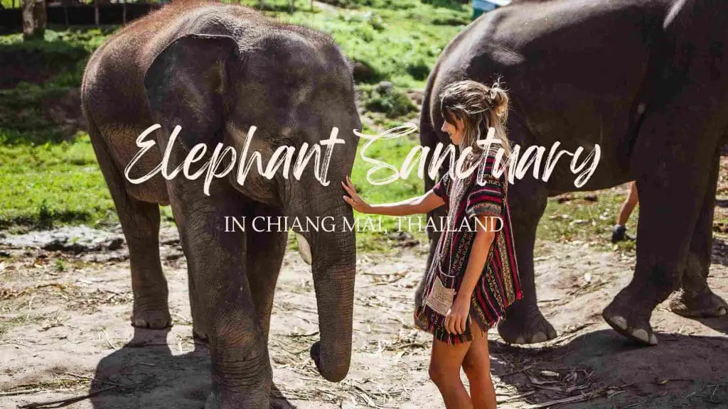 Chiang Mai Elephant Sanctuary