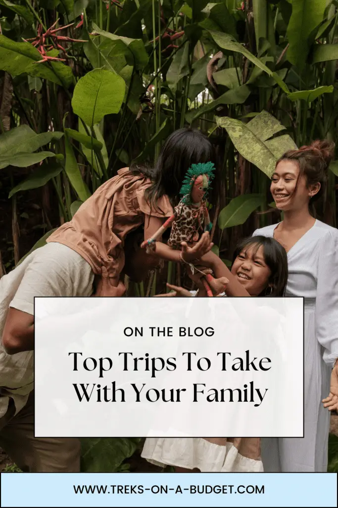 Pinterest pin family trips