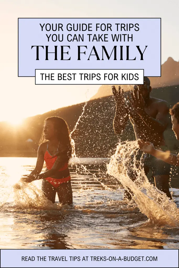 Pinterest pin family trips