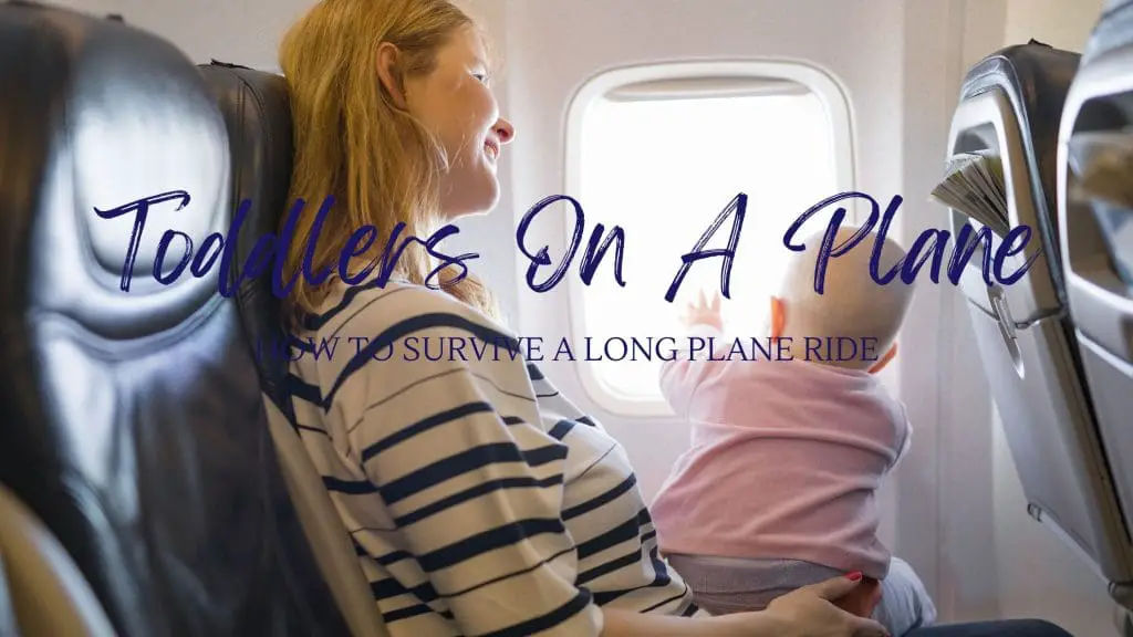 Long plane rides with Toddlers