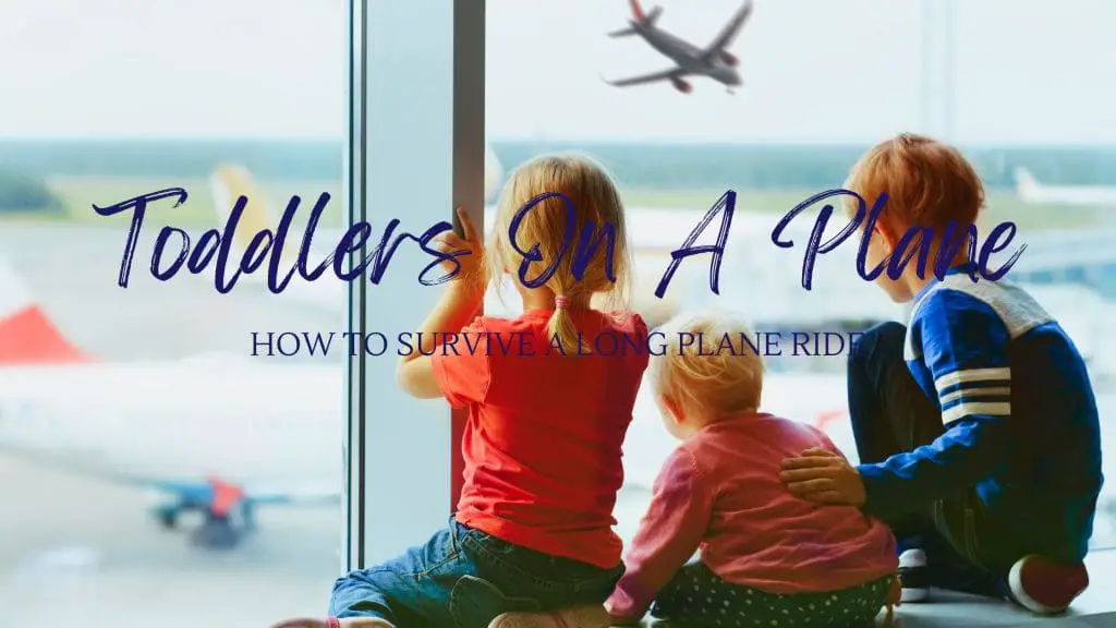 Long plane rides with Toddlers
